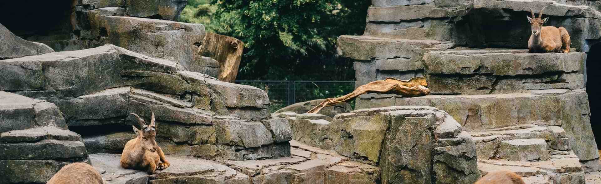 Polygem Themed Environment Epoxy Solutions