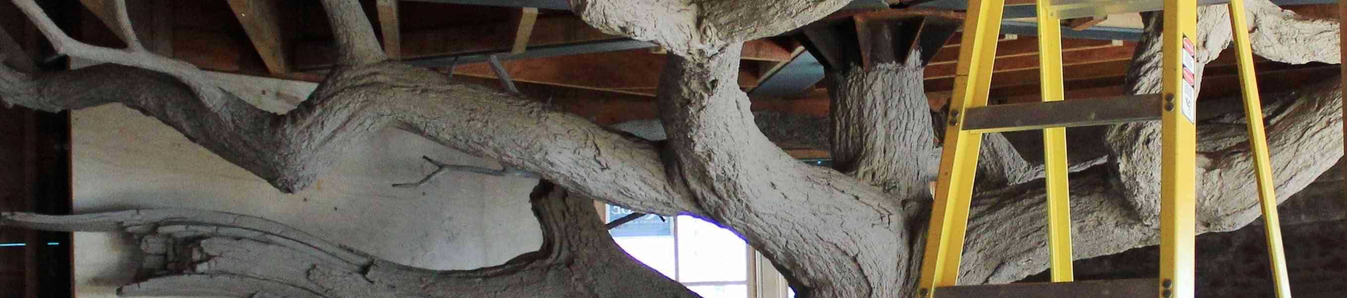 Modeling & Sculpting Epoxy